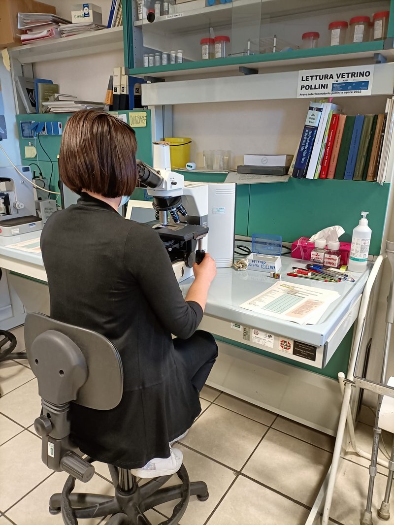 immagine anteprima per la notizia: interconfronto internazionale sui pollini 2026