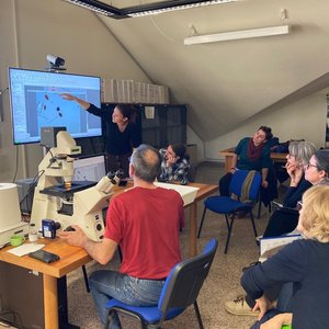 immagine anteprima per la notizia: arpa fvg partecipa ad un corso di aggiornamento specialistico ...