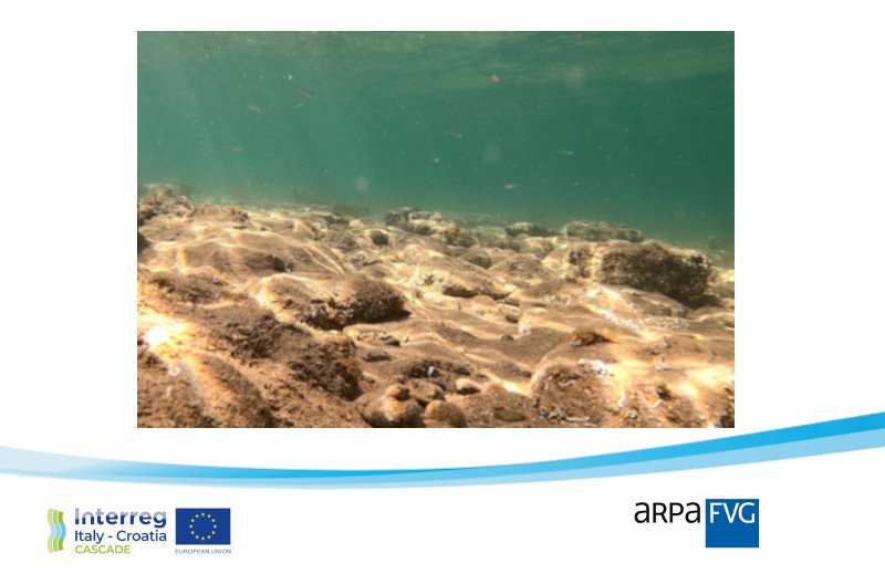 immagine contenuta nella pagina: #cascade: stato di avanzamento delle attività del progetto