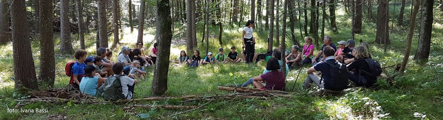 esperienza di forest bathing nella foresta di tarv...