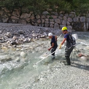 immagine anteprima per la notizia: monitoraggio dei fiumi 2026: al via i campionamenti ittici nei...