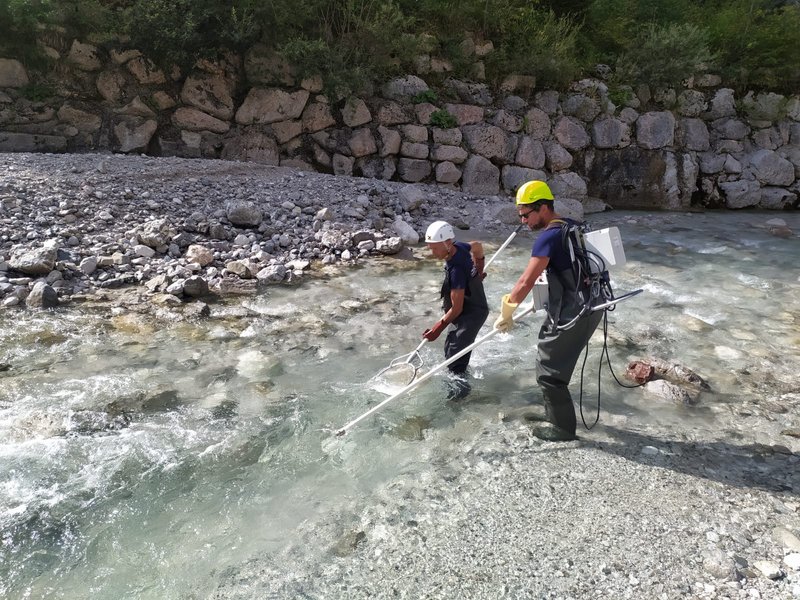 immagine anteprima per la notizia: monitoraggio dei fiumi 2026: al via i campionamenti ittici nei...