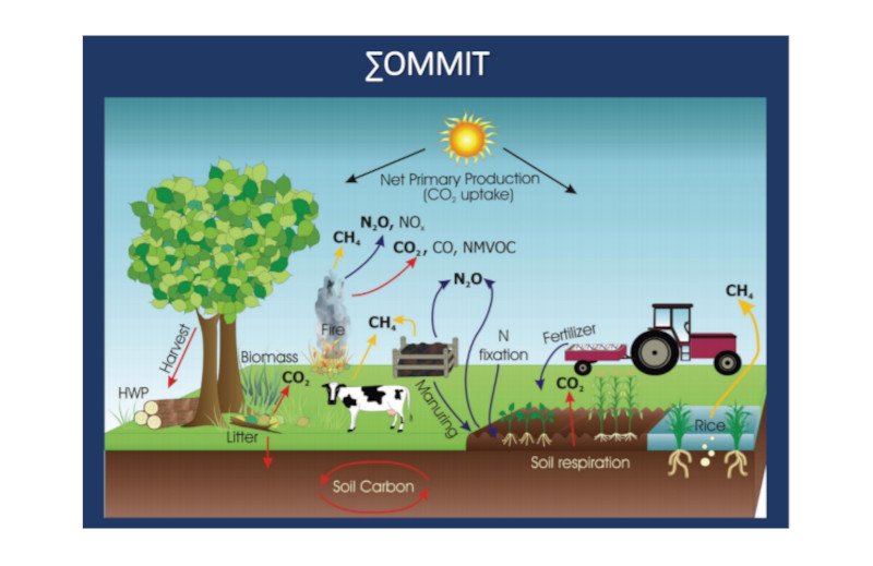 il primo webinar del progetto sommit
