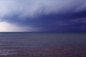 immagine anteprima della pagina: <p data-block-key="535kk">un <i>piccolo compendio dell’universo<...