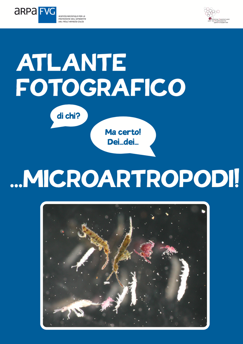 immagine anteprima per la notizia: arpa fvg presenta l’“atlante fotografico dei microartropodi” d...