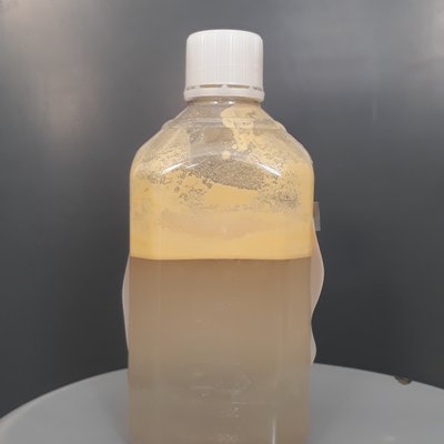 campione di acqua prelevato in corrispondenza di u...