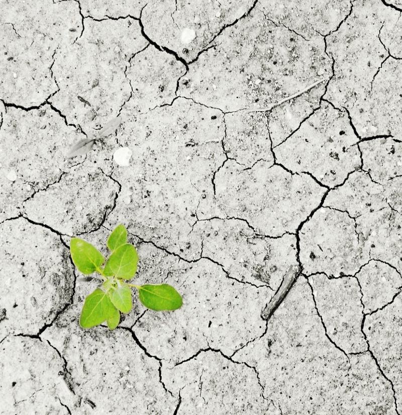 immagine anteprima per la notizia: estate 2026: stagione eccezionale per alte temperature e sicci...