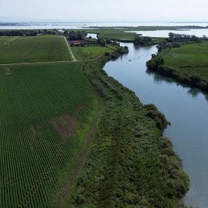 immagine anteprima per la notizia: giornata mondiale delle zone umide e 50° anniversario della ra...