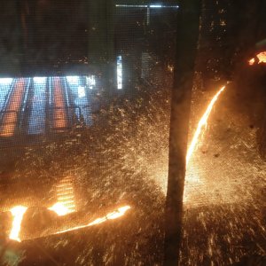 immagine anteprima per la notizia: ispra e arpa fvg, assieme per condividere le conoscenze per de...