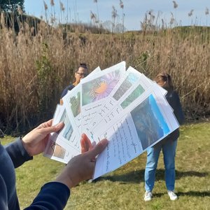 immagine anteprima per la notizia: progetto "esplorando" a palmanova