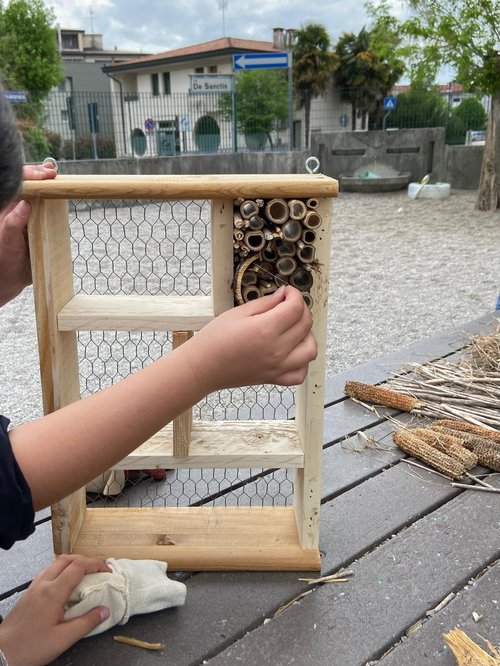 bug hotel