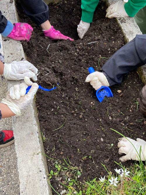 piantare aiuole con bambini