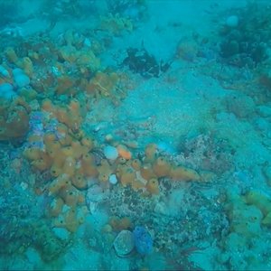 immagine anteprima per la notizia: rov: il veicolo subacqueo per il rilevamento dei fondali e deg...