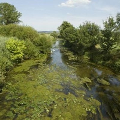 immagine contenuta nella pagina: partecipazione di arpa fvg al corso “macrofite esotiche invasive...