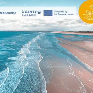 immagine anteprima per la notizia: progetto europeo medsearise: una nuova metodologia per valutar...