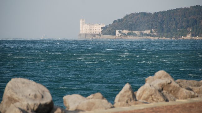 immagine principale articolo: investire nella conoscenza dell’ambiente