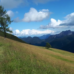 immagine anteprima per la notizia: montagna e cambiamenti climatici: il 2024 l’anno finora più ca...