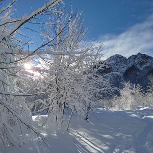 immagine anteprima per la notizia: appunti di meteorologia alpina