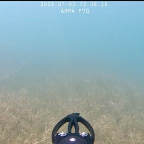 immagine contenuta nella pagina: giornata formativa sull'utilizzo del rov per il monitoraggio del...