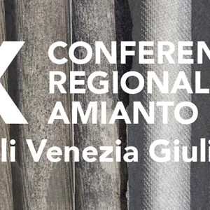 immagine anteprima per la notizia: x conferenza regionale amianto
