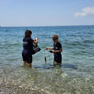 immagine anteprima per la notizia: balneazione in fvg: i risultati dei monitoraggi di agosto