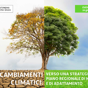 immagine anteprima per la notizia: cambiamenti climatici: verso una strategia e un piano regional...