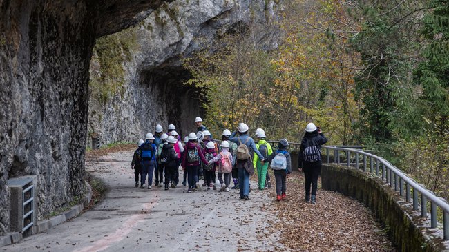 immagine principale articolo: stare in natura e conoscere la natura