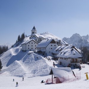 immagine anteprima per la notizia: quando lo sport incontra l’ambiente: un nuovo progetto di educ...
