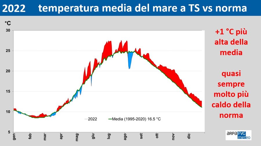 Fig. 3 - Andamento temperatura media giornaliera del mare a Trieste e confronto con la media 1995-2021.