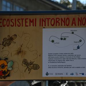 immagine anteprima per la notizia: dalle scuole alla cittadinanza: la collaborazione con i comuni