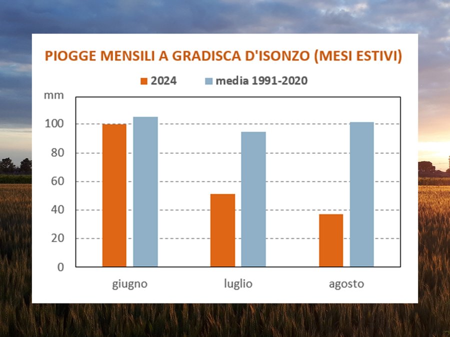 gradisca d’isonzo: piogge mensili 2004 e confronto...