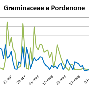 immagine anteprima per la notizia: la strana stagione pollinica 2016 delle graminacee