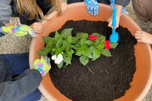 immagine anteprima della pagina: <p data-block-key="j0jql">educazione ambientale: un pilastro del...