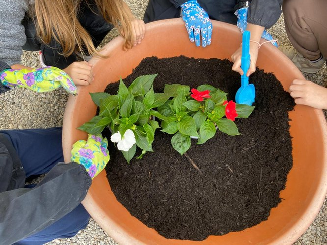 immagine principale articolo: educazione ambientale: un pilastro della missione di arpa fvg