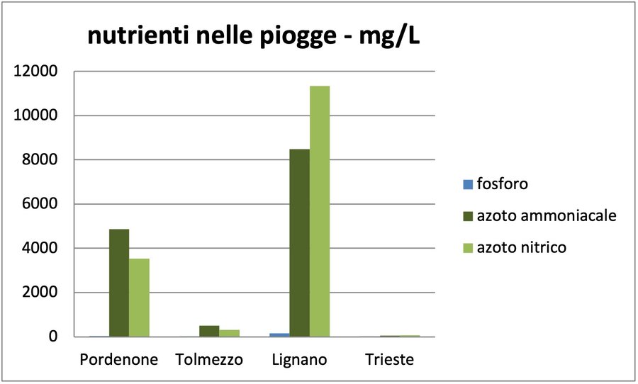 nutrienti 2020
