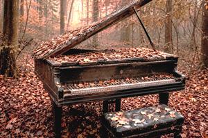 immagine anteprima della pagina: <p data-block-key="jxlum">la sinfonia dell'autunno</p>
