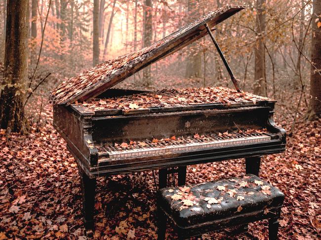 immagine principale articolo: la sinfonia dell'autunno