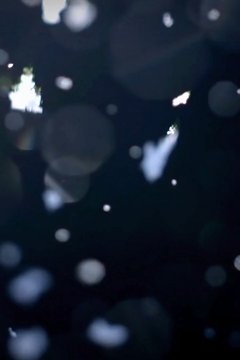 immagine anteprima editione n°: dicembre 2025 - febbraio 2026