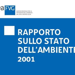 immagine anteprima per la pubblicazione: rsa 2001