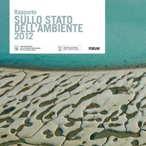 immagine anteprima per la pubblicazione: rsa 2012