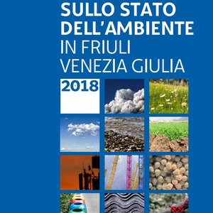 immagine anteprima per la pubblicazione: rapporto stato ambiente fvg 2018 - cambiamenti climatici