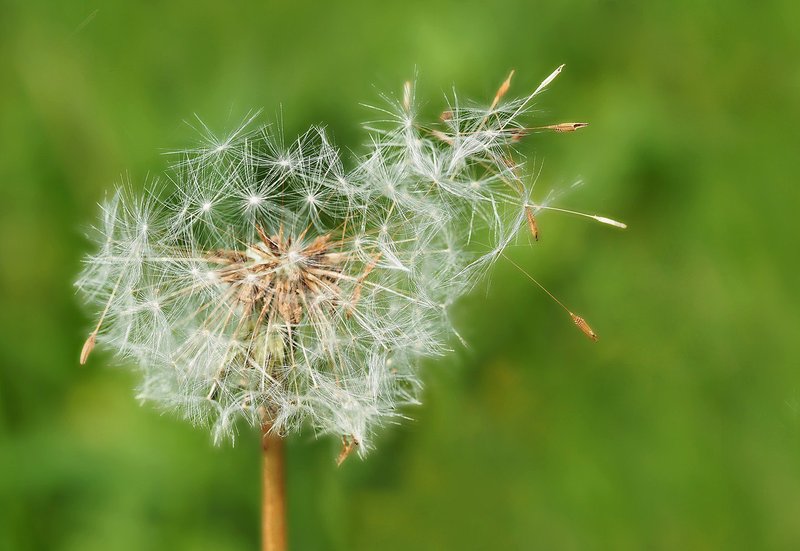 immagine anteprima per la notizia: rapporto sullo stato dell’ambiente un anno dopo: alcune confer...