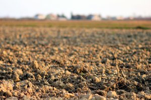 immagine anteprima della pagina: <p data-block-key="bt0nr">il suolo e le trasformazioni del terri...