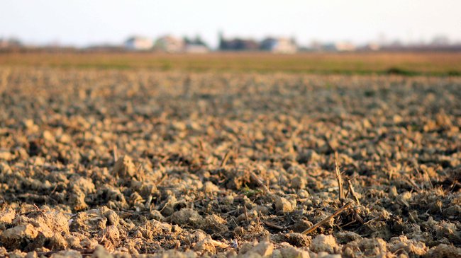 immagine principale articolo: il suolo e le trasformazioni del territorio